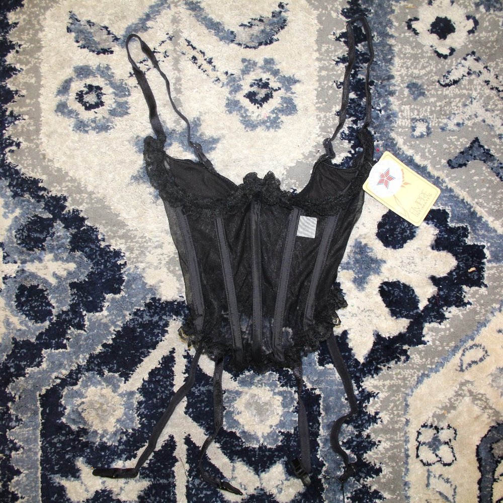sheer hussy bustier